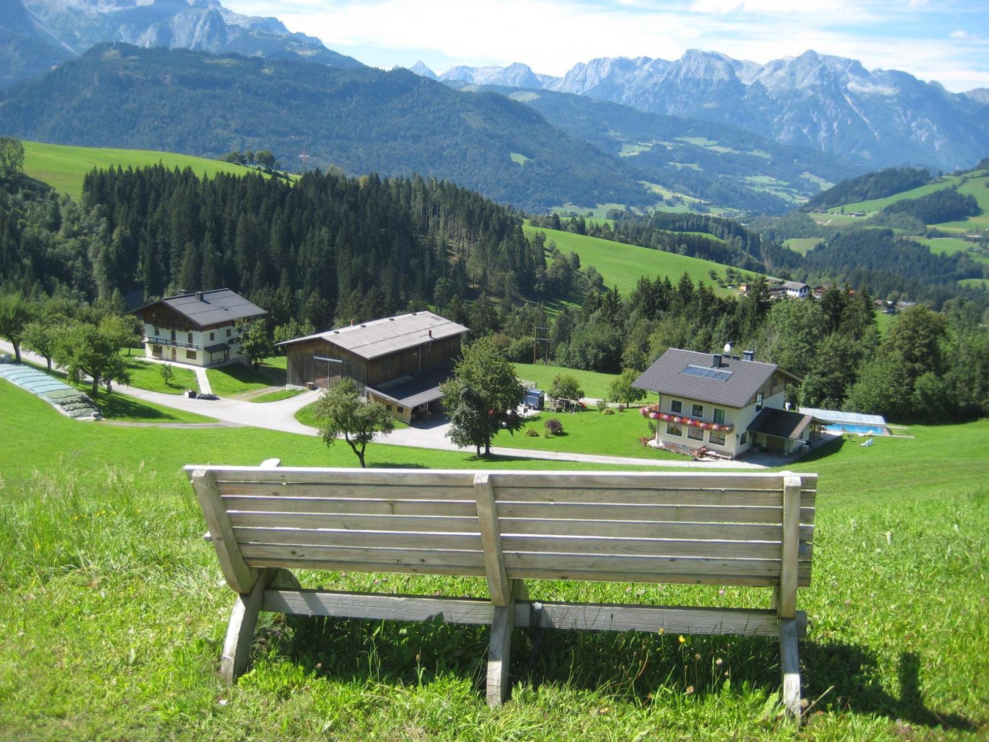 Apartments Spiegl Holzmann บิชชอฟส์โฮเฟน ภายนอก รูปภาพ